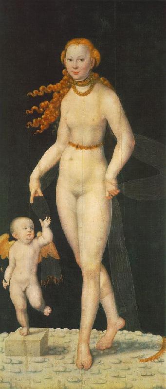 CRANACH, Lucas the Younger Venus and Amor fghe oil painting picture